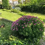 Bed & Breakfast COTTAGE BELLEVUE