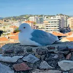 Top Floor Secret Garden, Cannes