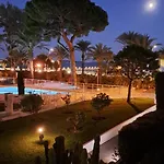Ocean View Royal Palm