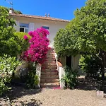 Chez Nicole