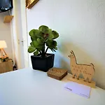 Cannes Conseil Immo - Appartement 1 Chambre, Zone Semi Pietonne -Tol-