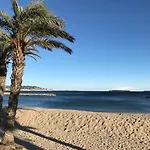 Cannes, La Palme D\'Or