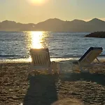 Cannes, La Palme D\'Or