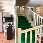 Les Mimosas