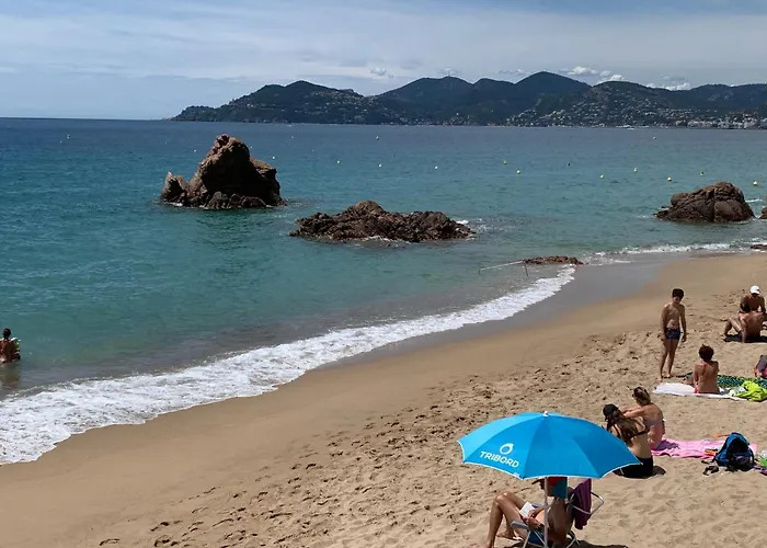Le Palm Azur - Vue Mer Sur Les Iles De Lerins