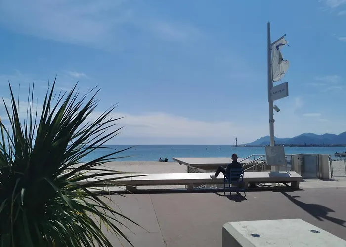 Un Nid D Amour Au Coeur De Cannes