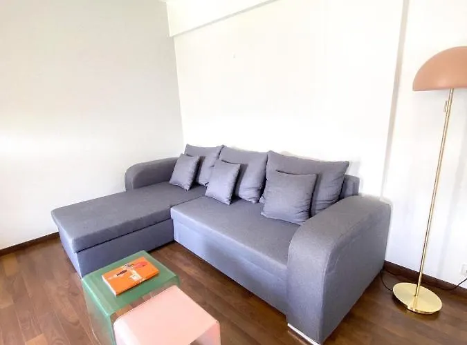 Superb Apartment In Cannes With Magnificent View !