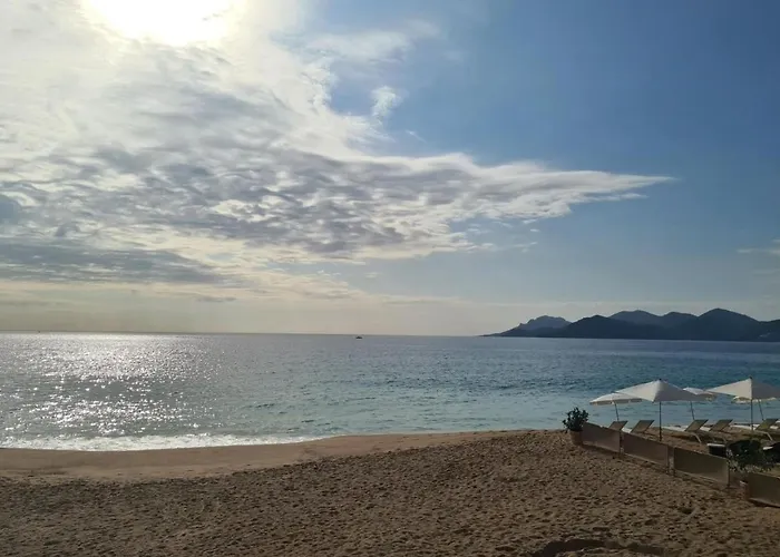 Nice Apt For 4 In Cannes