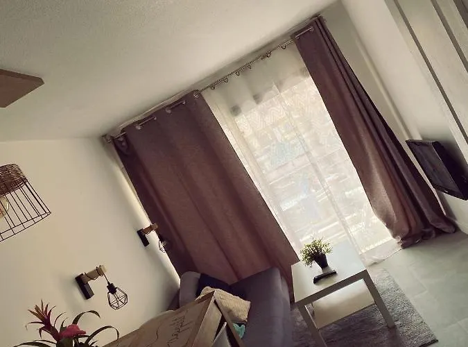 Sunny Entire Appartement Cannes