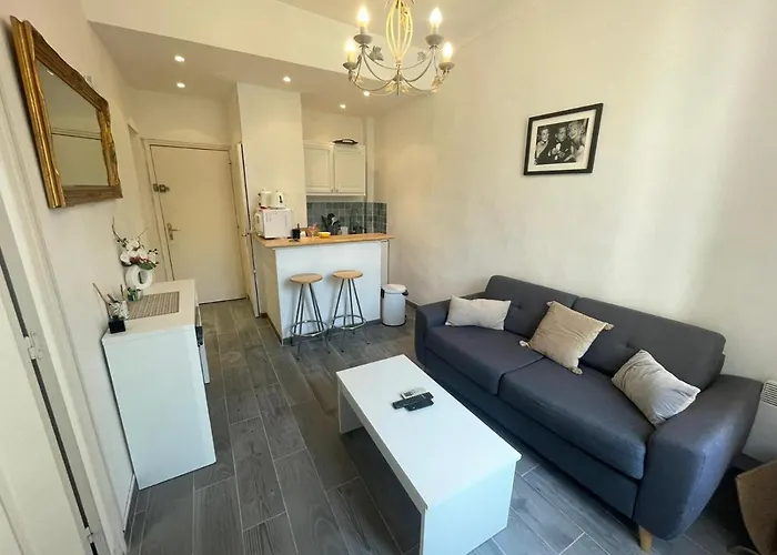 Cannes Conseil Immo - Appartement 1 Chambre, Zone Semi Pietonne -Tol-