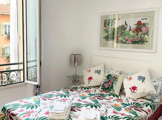 Cannes Apartment Close To Congress Palace, Croisette, Beaches
