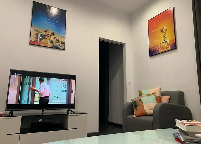 Appartement 2 Pieces Centre Ville Cannes