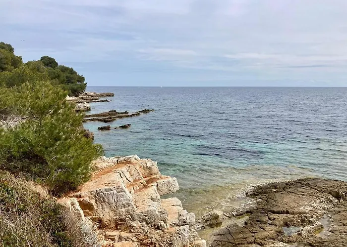 Appartement Centre Croisette Emplacement Exceptionnel