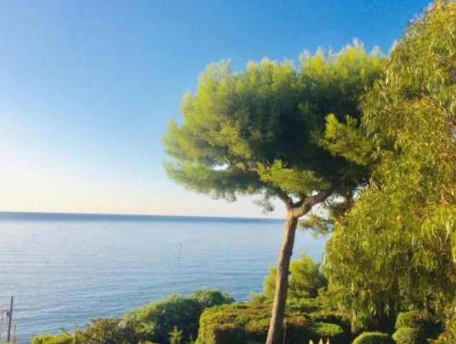 Villa Cannes Directly On The Sea