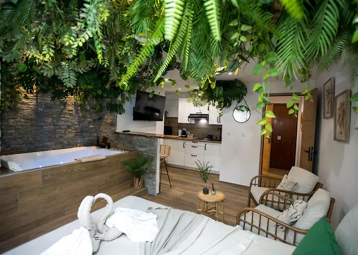Jungle Room Cannes