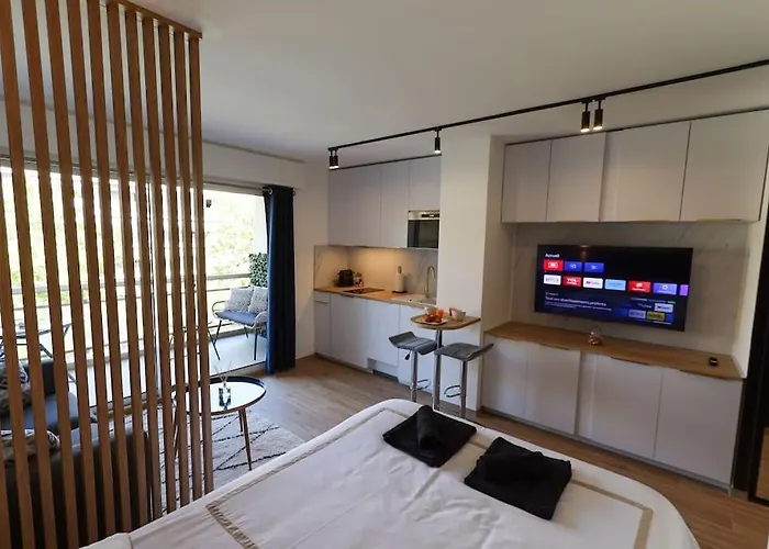 Cosy Appartement, Centre-Ville Cannes, Terrasse, Clim