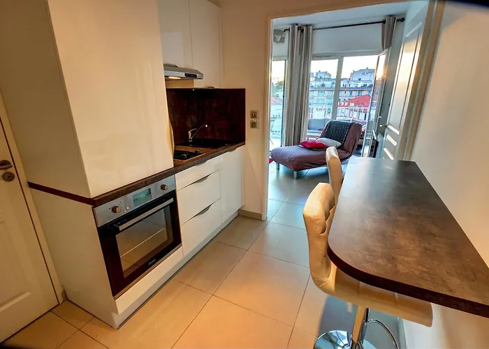 Studio In Cannes, With Wonderful Mountain View, Terrace And Wifi - 500