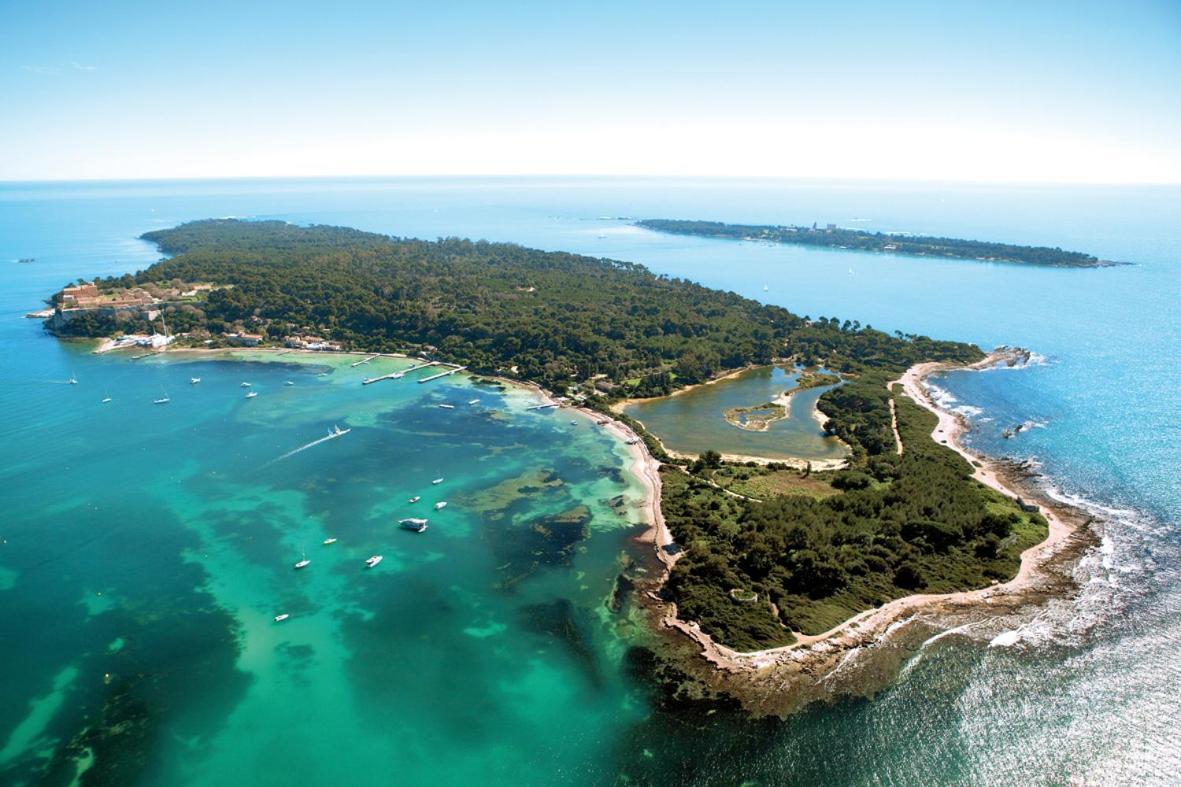 Bellevue Cannes