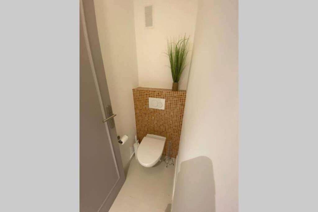 Renovated 2 Bedrooms - Boulevard De La Croisette *