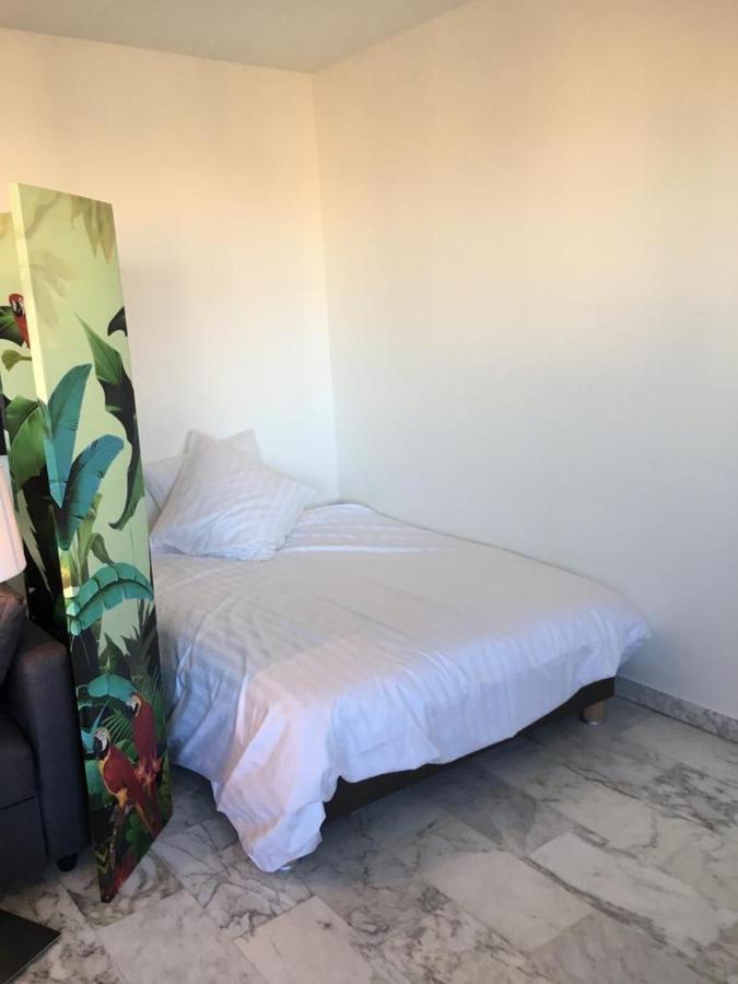 Appartement President Vue
