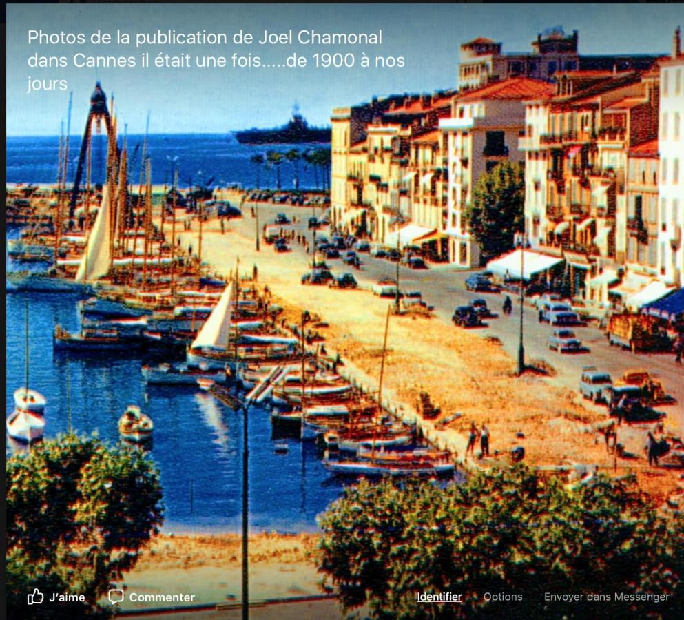 Les Nefliers