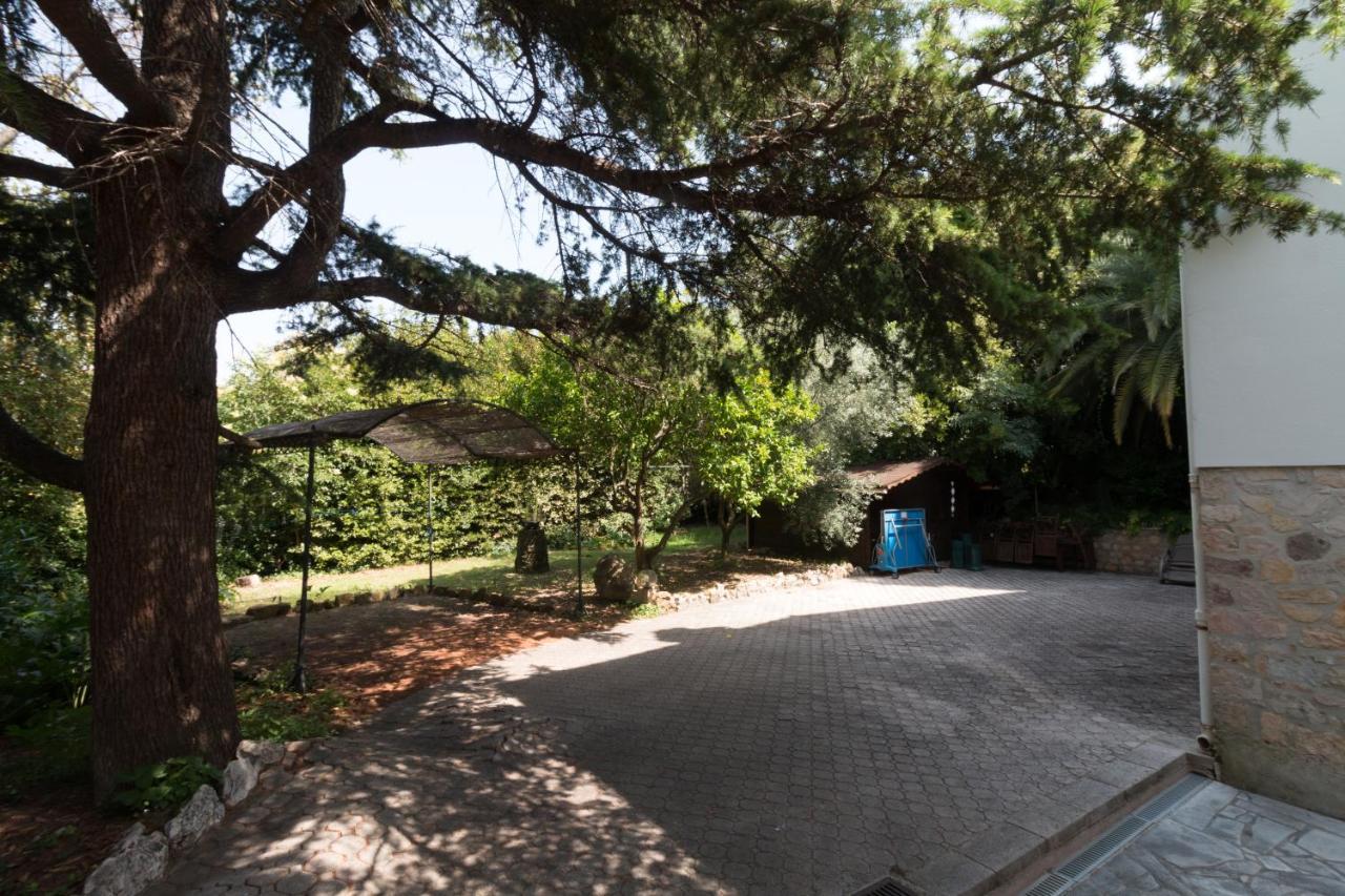 Tsavorite - Californie Villa Cannes