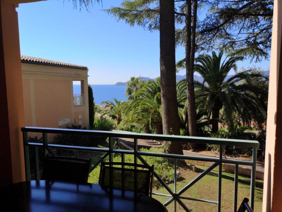 Duplex Vue Spendide, Terrasse Piscine Jardins Parking Cannes