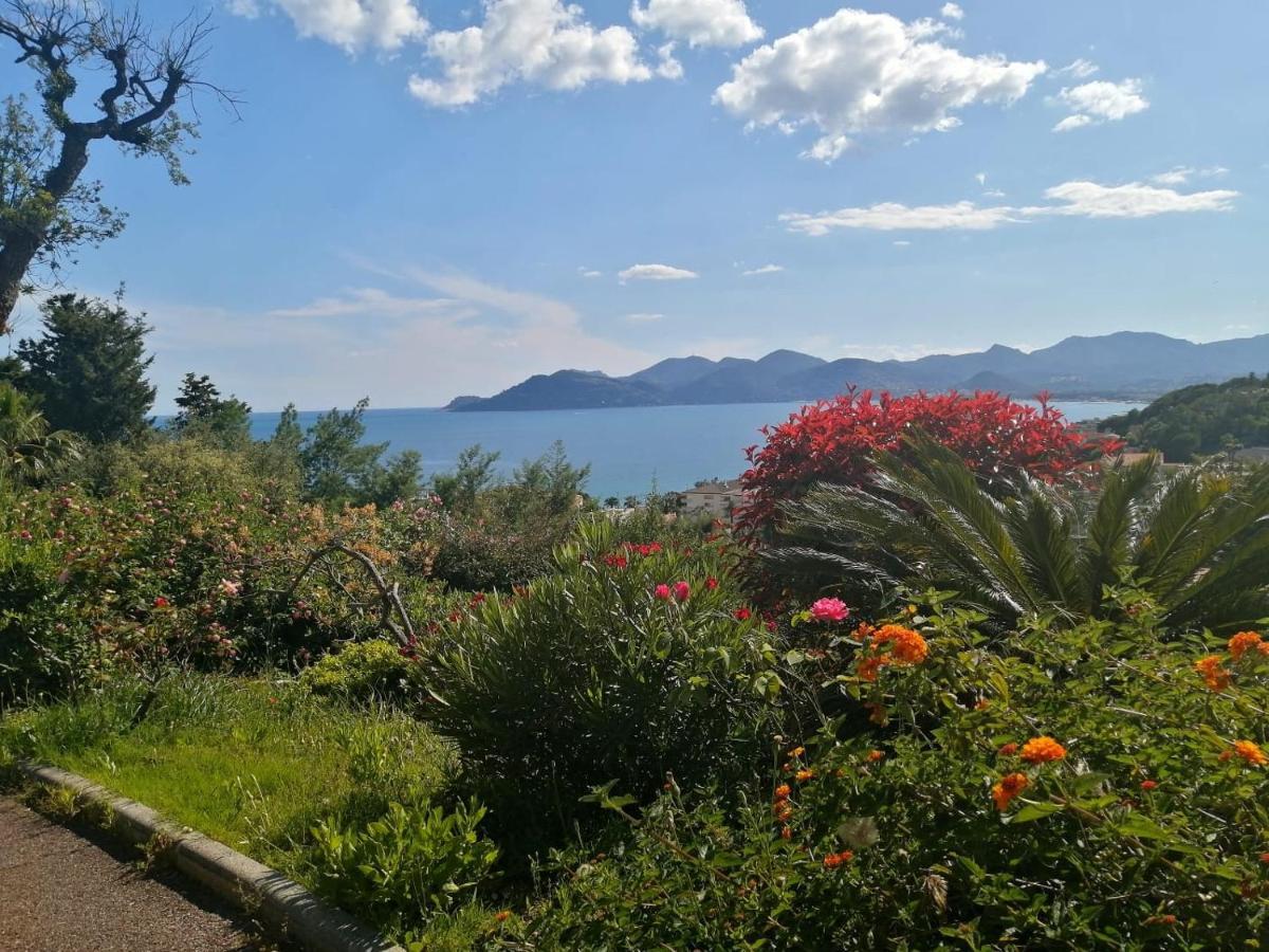 Duplex Vue Spendide, Terrasse Piscine Jardins Parking Appartement