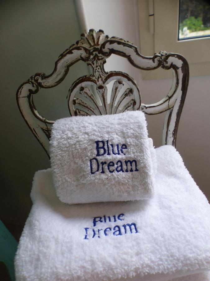 Blue Dream Guest house Cannes
