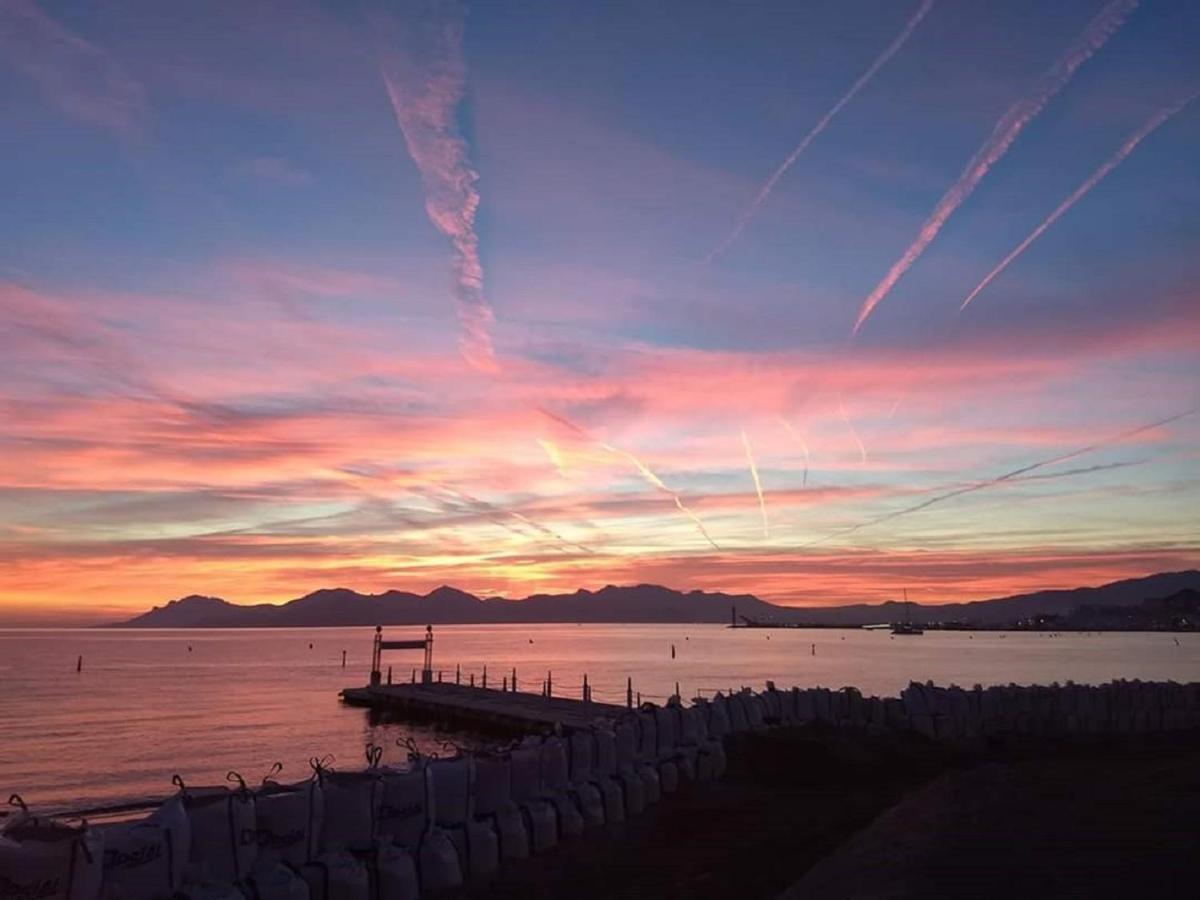 Apartment Les Algues T2 Cannes