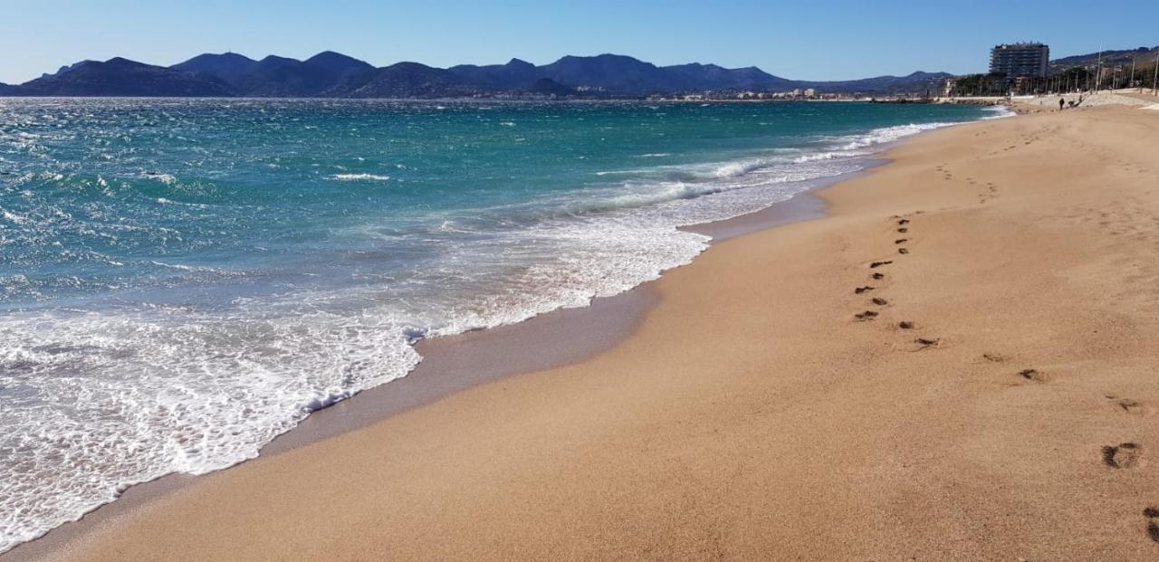 Apartment Les Pins Cannes