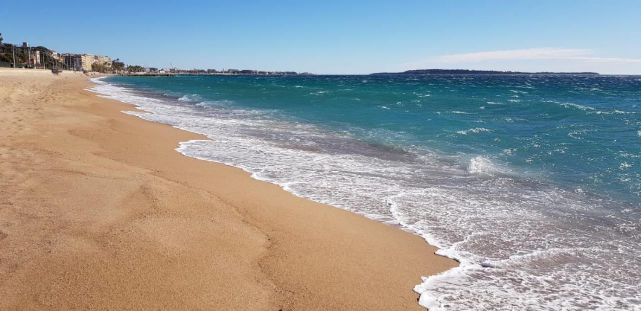 Les Pins Cannes