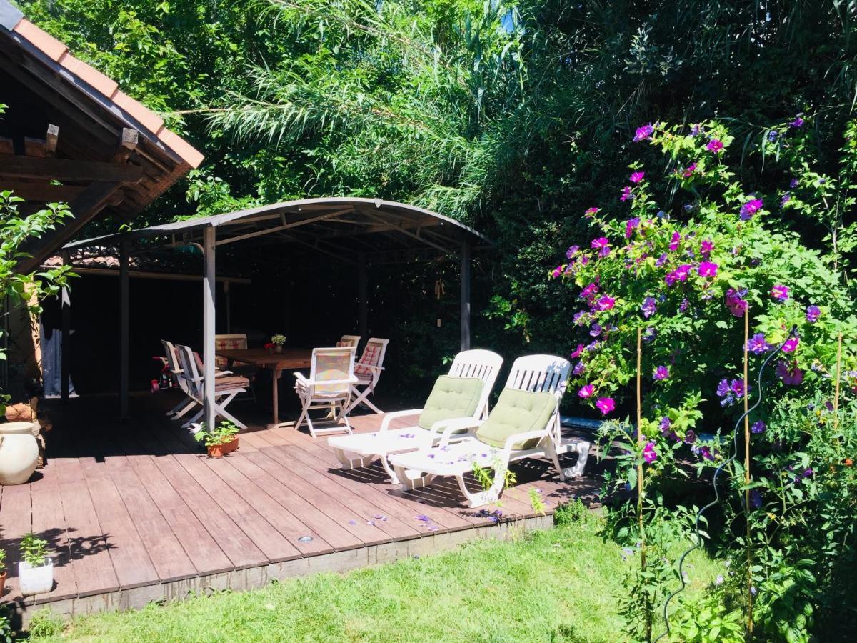 3 Garden Pool Parking 2 Min By Car * Cannes