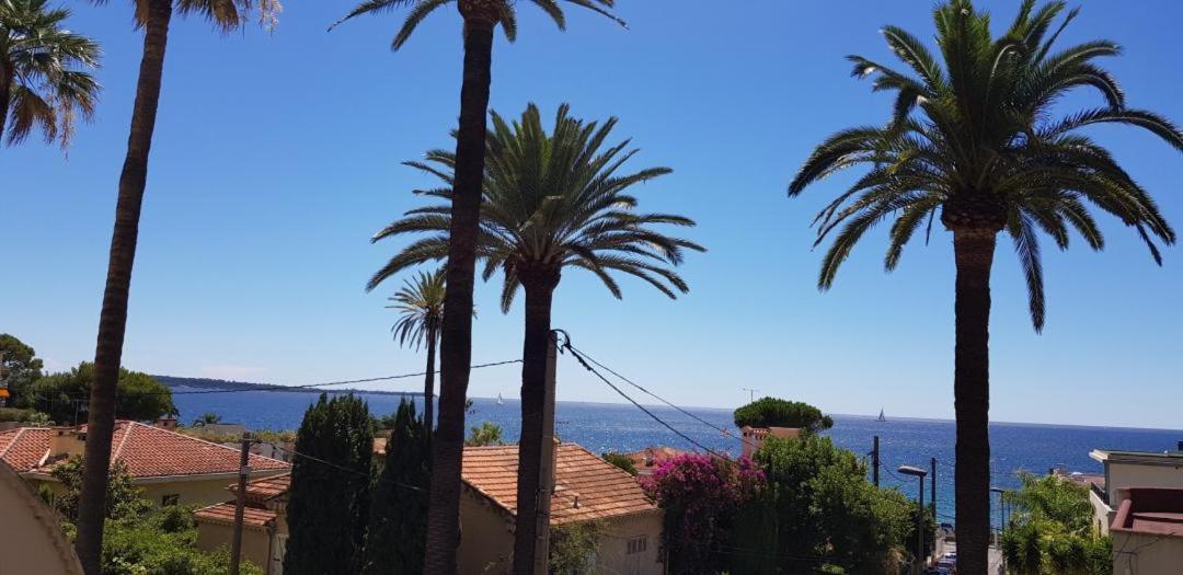 Les Pins * Cannes