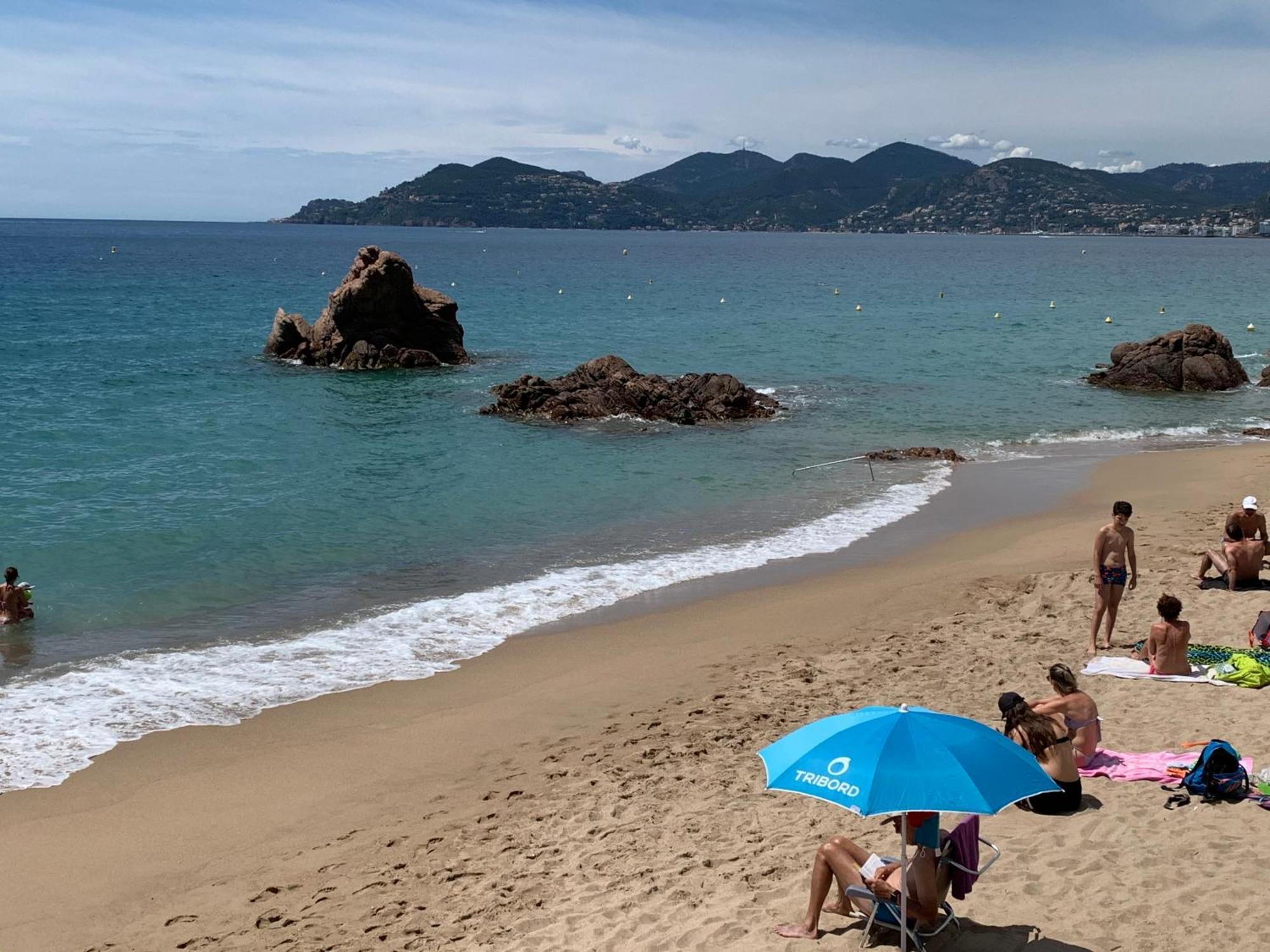 Le Palm Azur - Vue Sur Les Iles De Lerins Apartamento