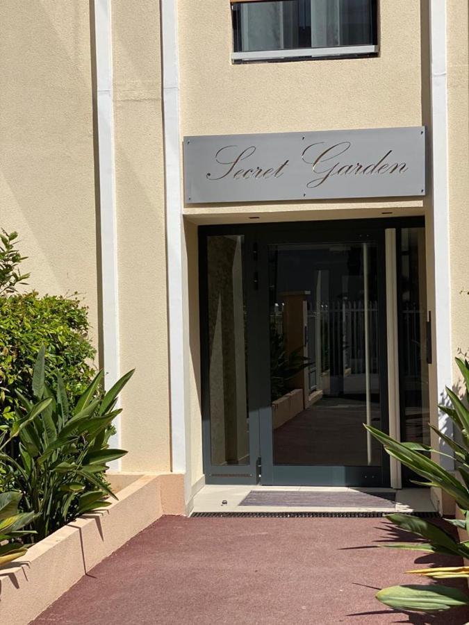 Palm With A Pool In The