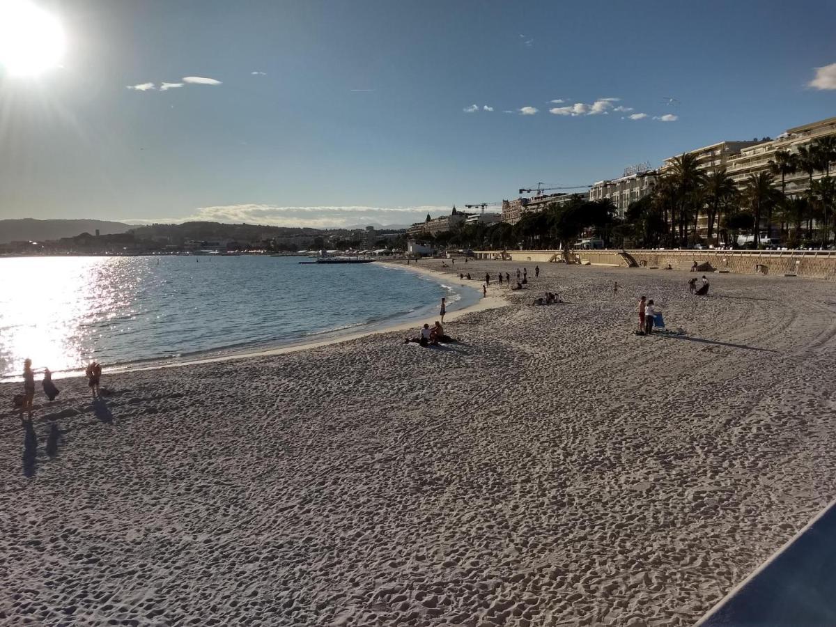 Le Piree T2 Palm Beach Place De L Etang * Cannes