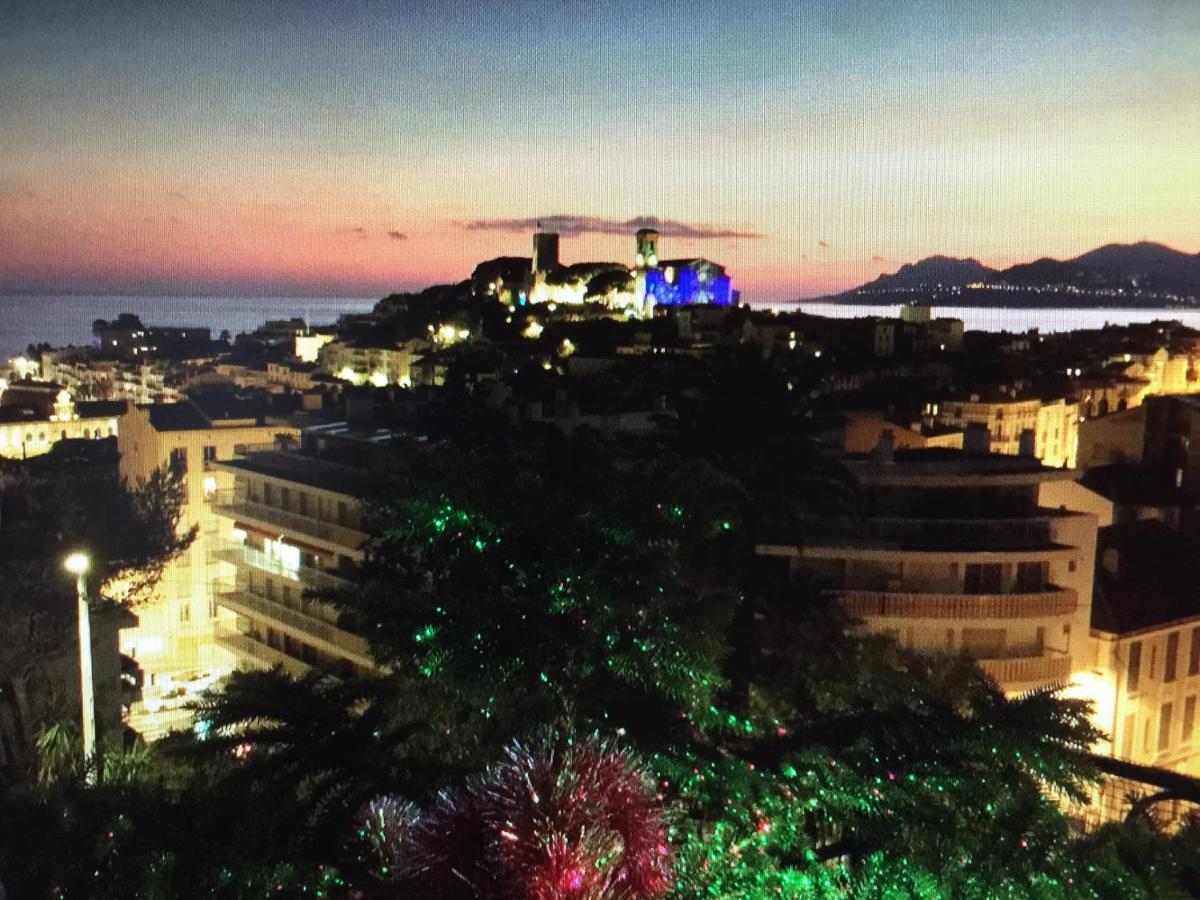 Vue Mer Jardin Chateau Plages Palais Des Festivals Lumineux Et Spacieux Au Calme Apartment