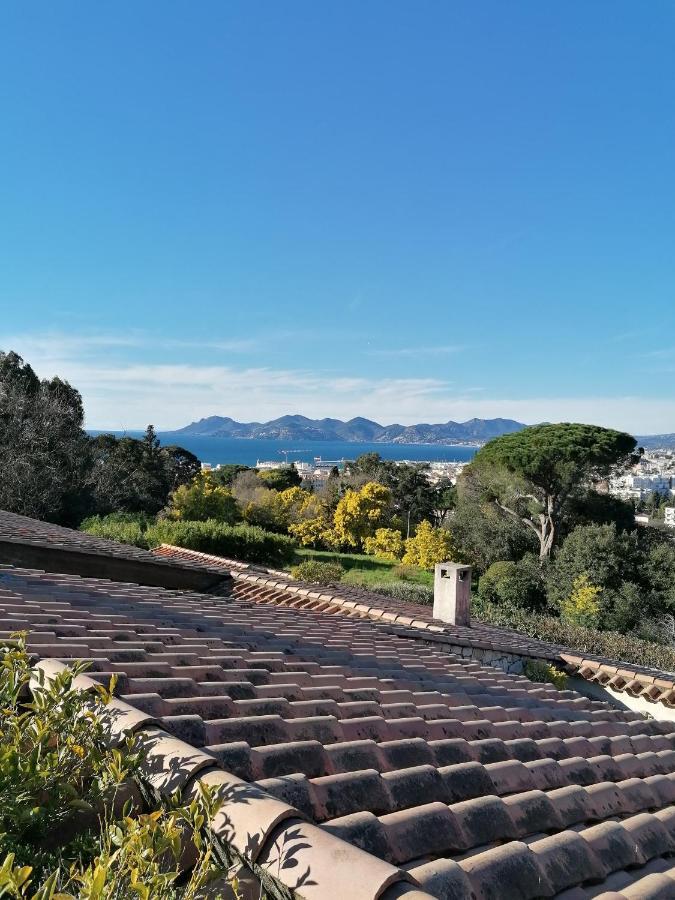 Villa Les 5 Palmiers Villa Cannes