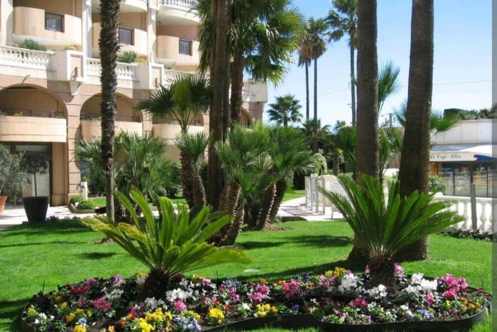 T2 Vue Panoramique C Appartement Cannes