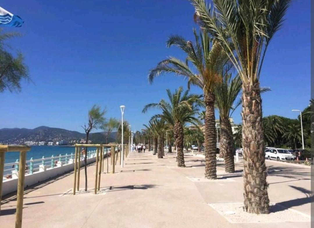 T2 Vue Panoramique C Cannes