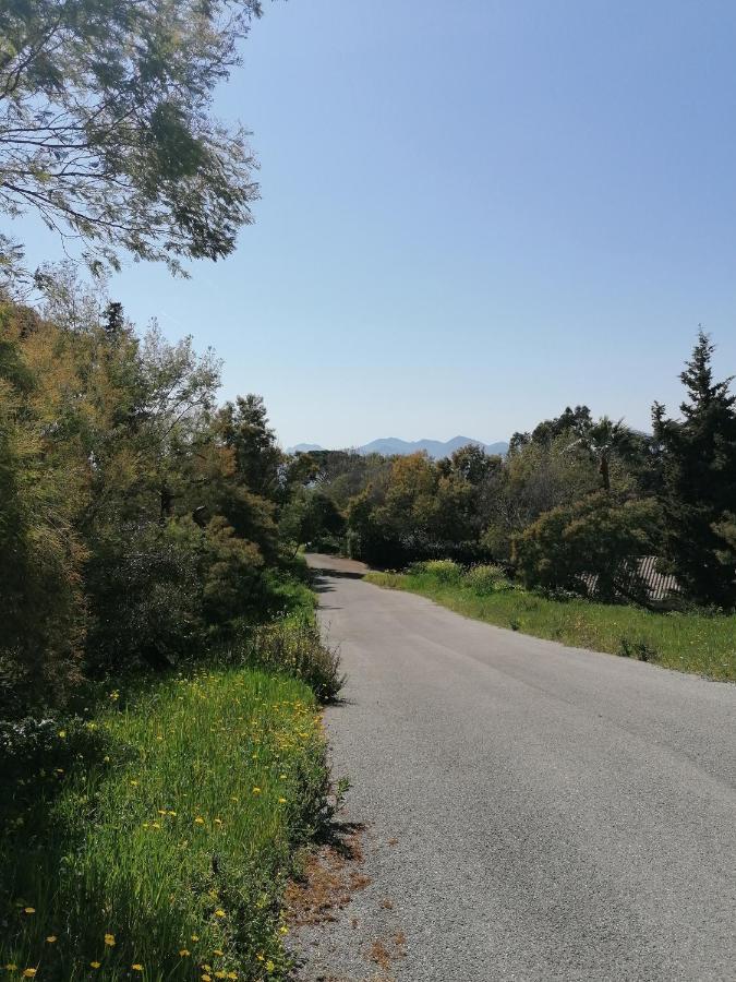 Villa Les 5 Palmiers * Cannes