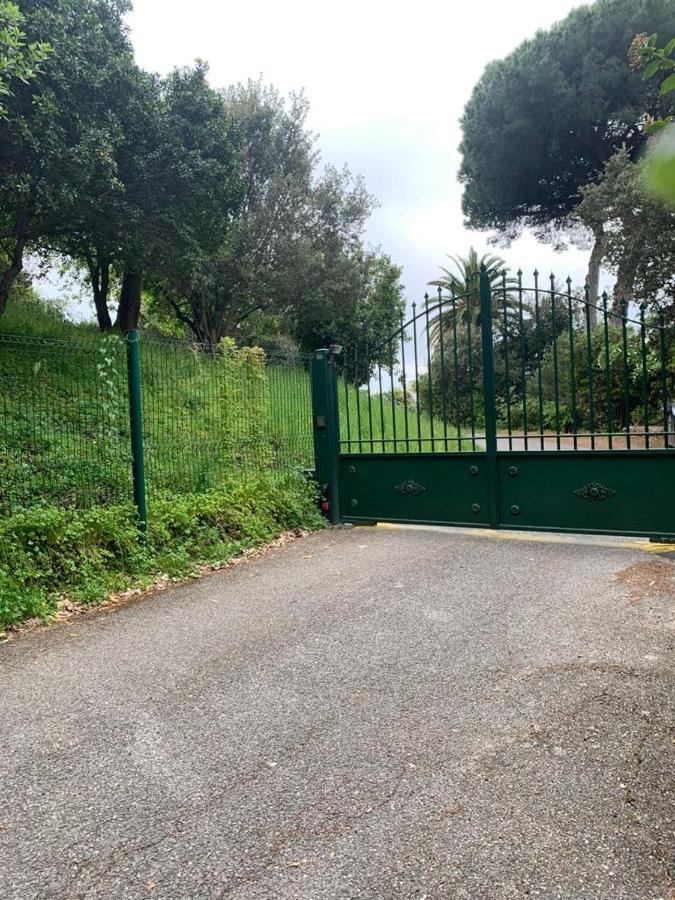 Villa Les 5 Palmiers Cannes