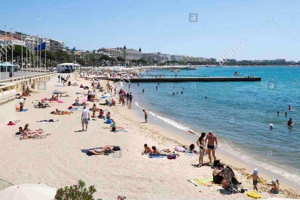 Appartement Studio   le Jean Nobles  Cannes