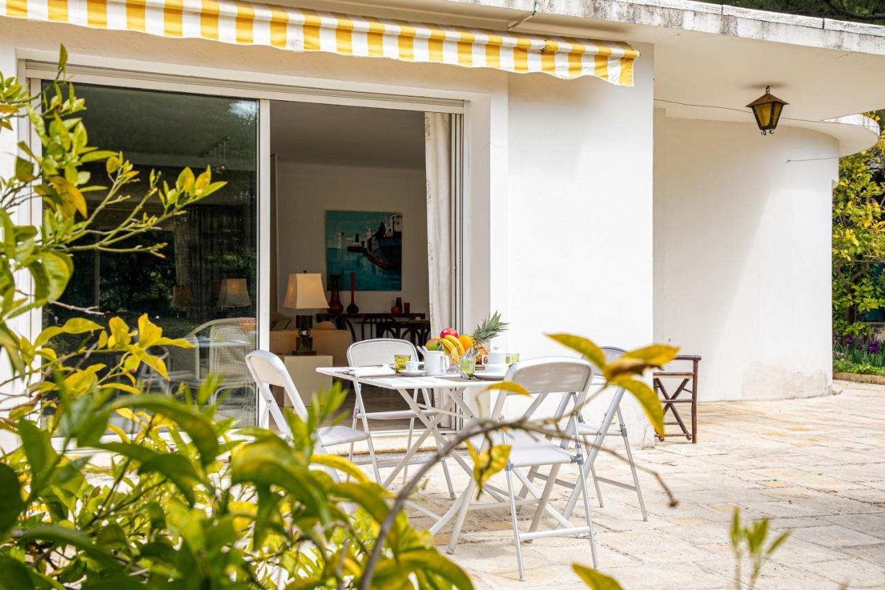 Matha Appartement Cannes