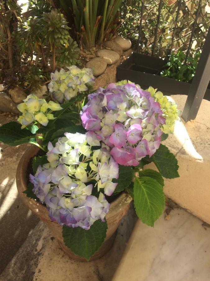 Au Petit Marius * Cannes