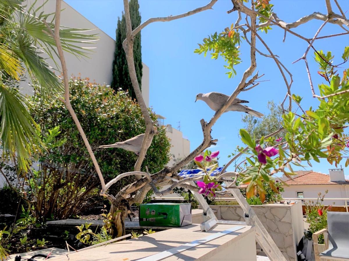 Rooftop Croisette/alexandre Iii *