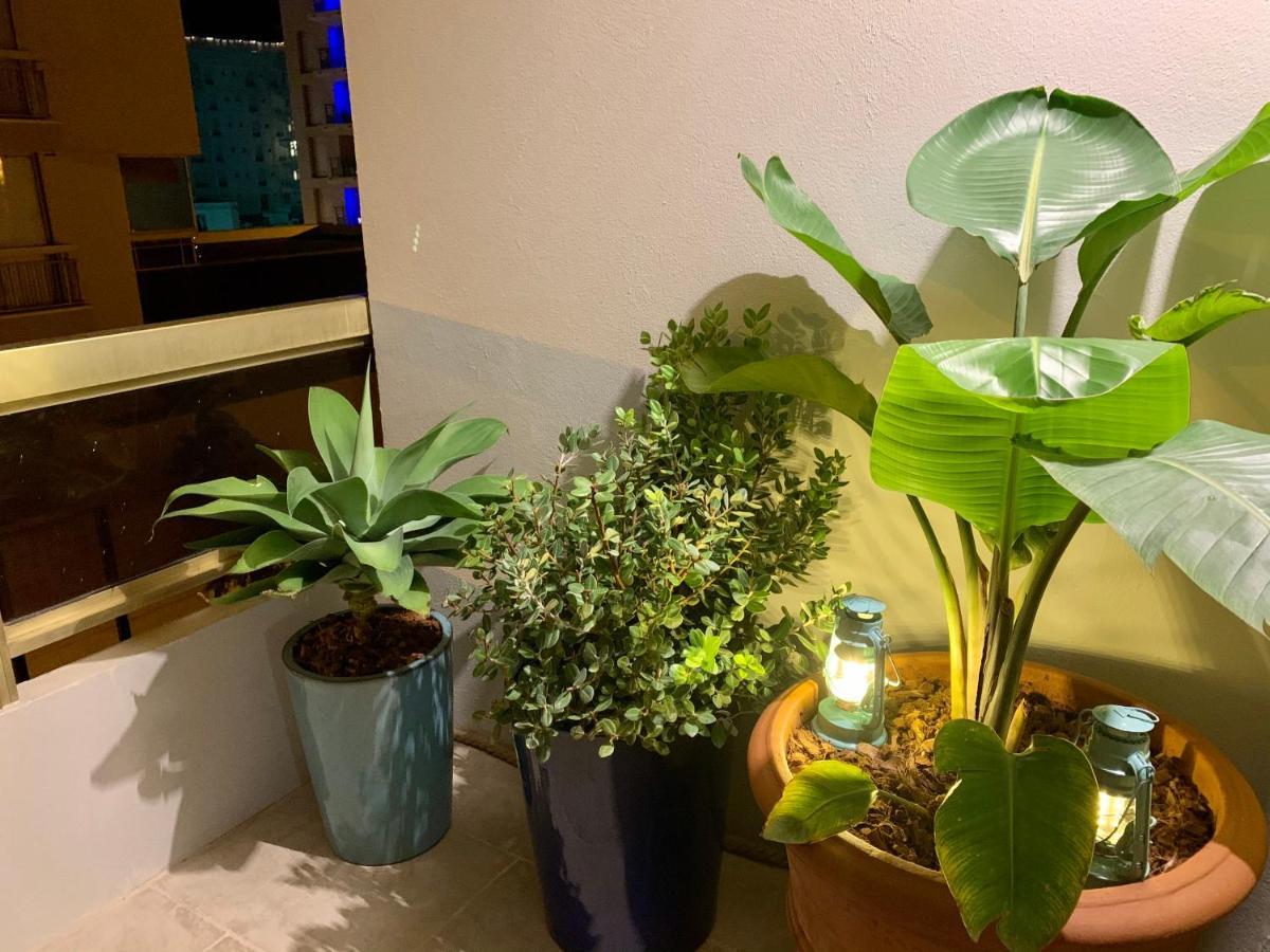 Apartment Magnifique 3 Pieces En Plein Coeur De Cannes