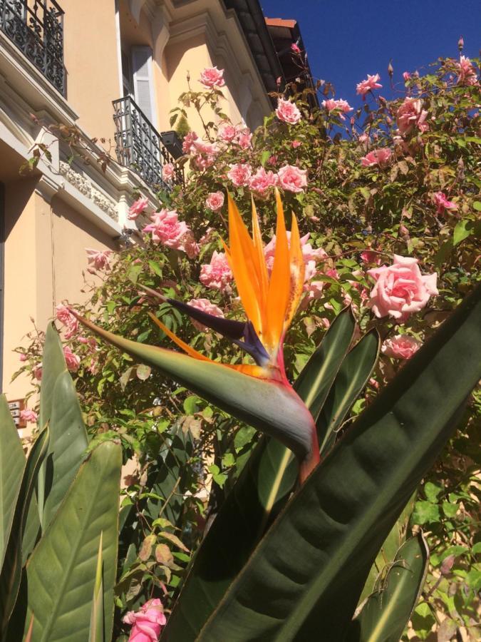 Au Petit Marius * Cannes