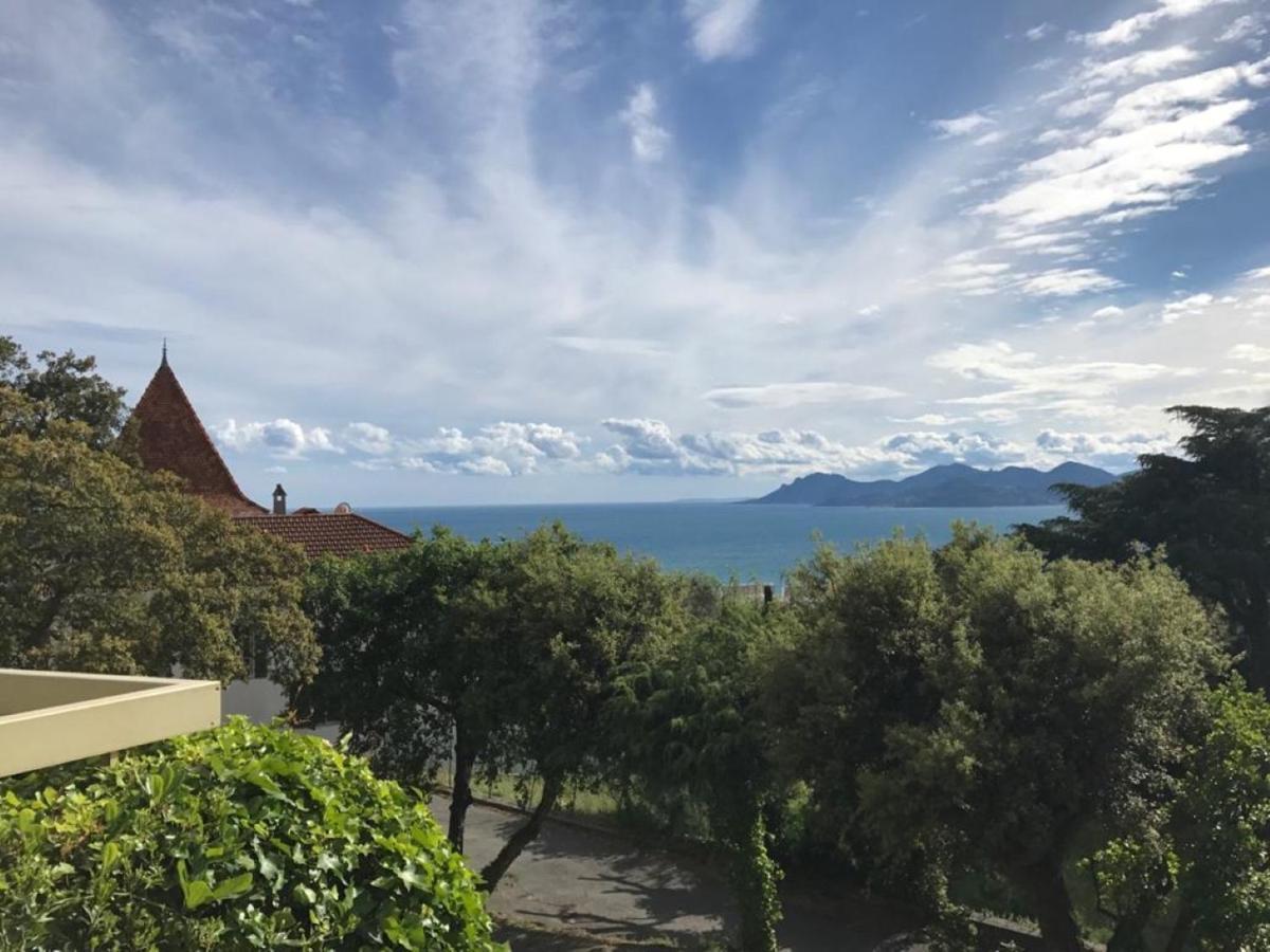 - Le Saint Georges Avec Superbe Jardin Et Vue Panoramique Appartement